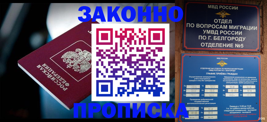помощь с регистрацией через МФЦ в Амурской области